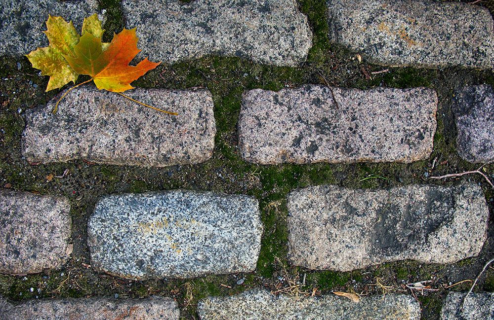 Old Montreal Cobblestones 02
