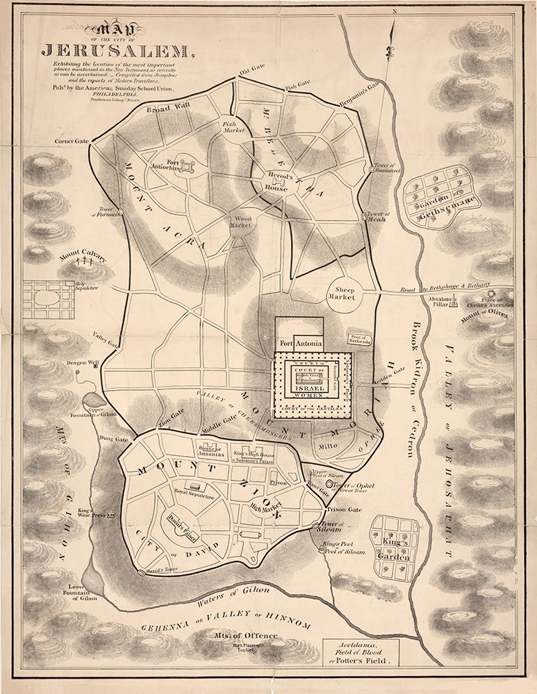 Holy Land V
