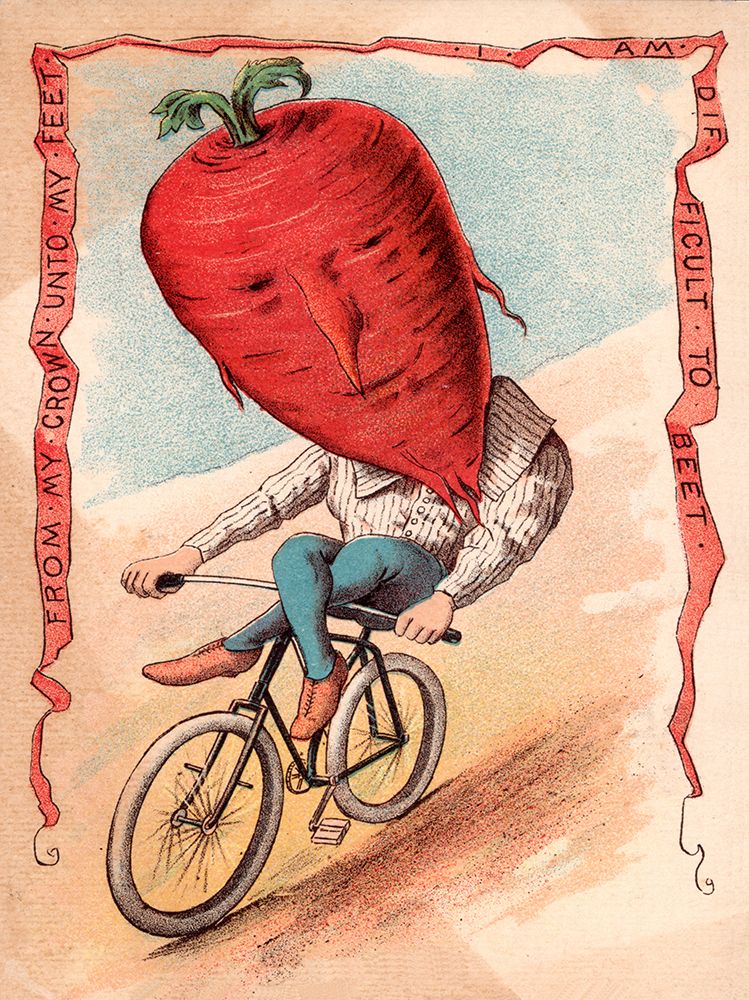Bike Beet