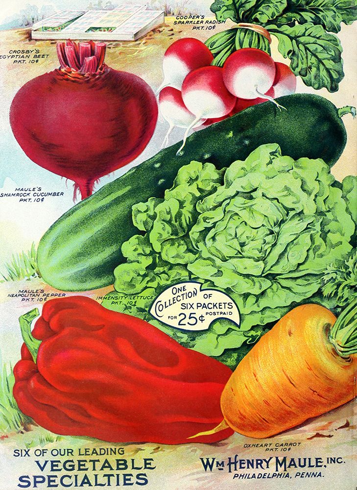 1915 Maule Seed Veggies