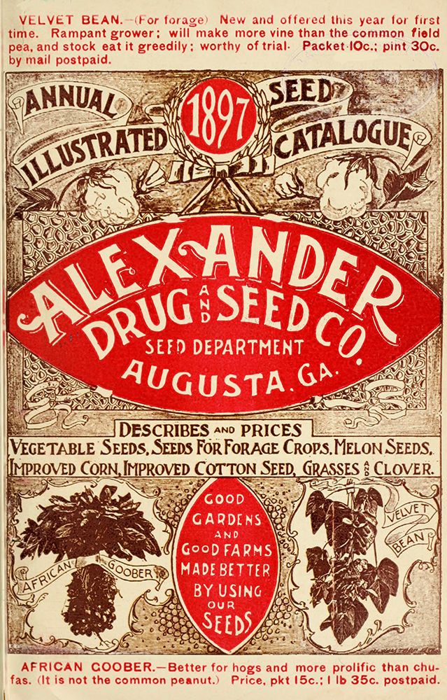 Alexander Seed