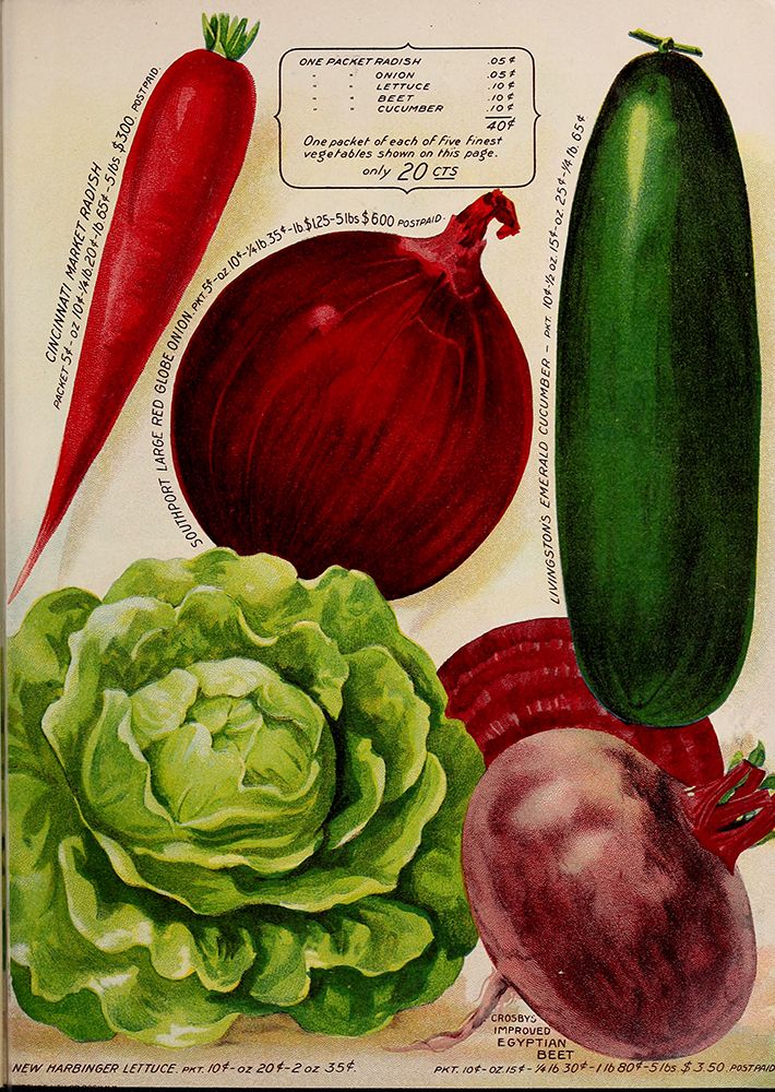 Annual Of True Blue Veggies