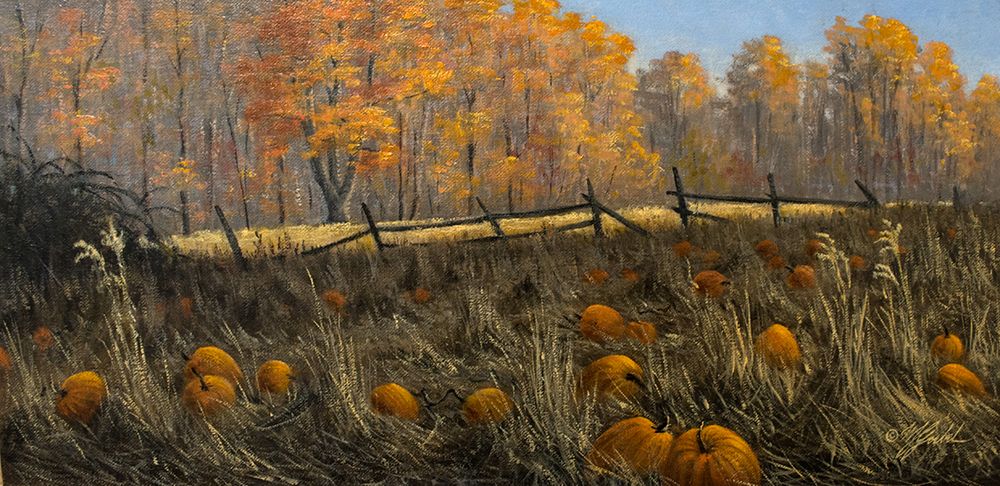 Pumpkin Patch