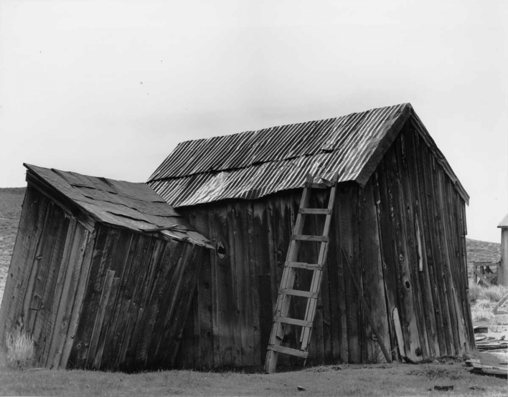 Bodi Ladder