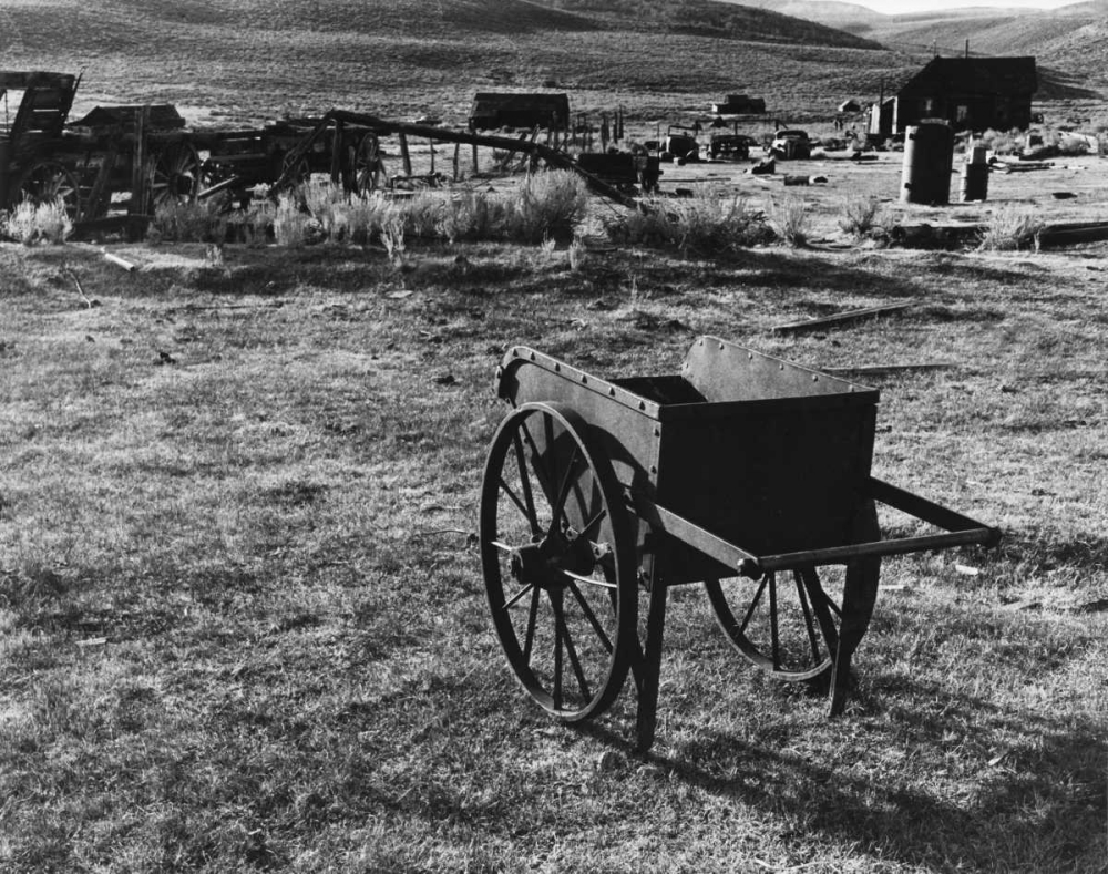 Bodi Wheelbarrow 2