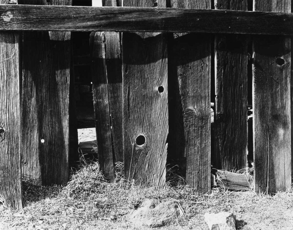 Bodi Fence