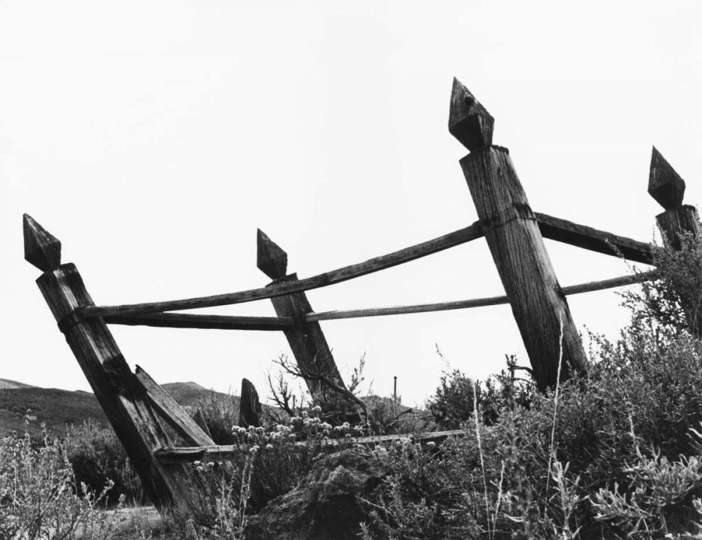The Bodi Fence