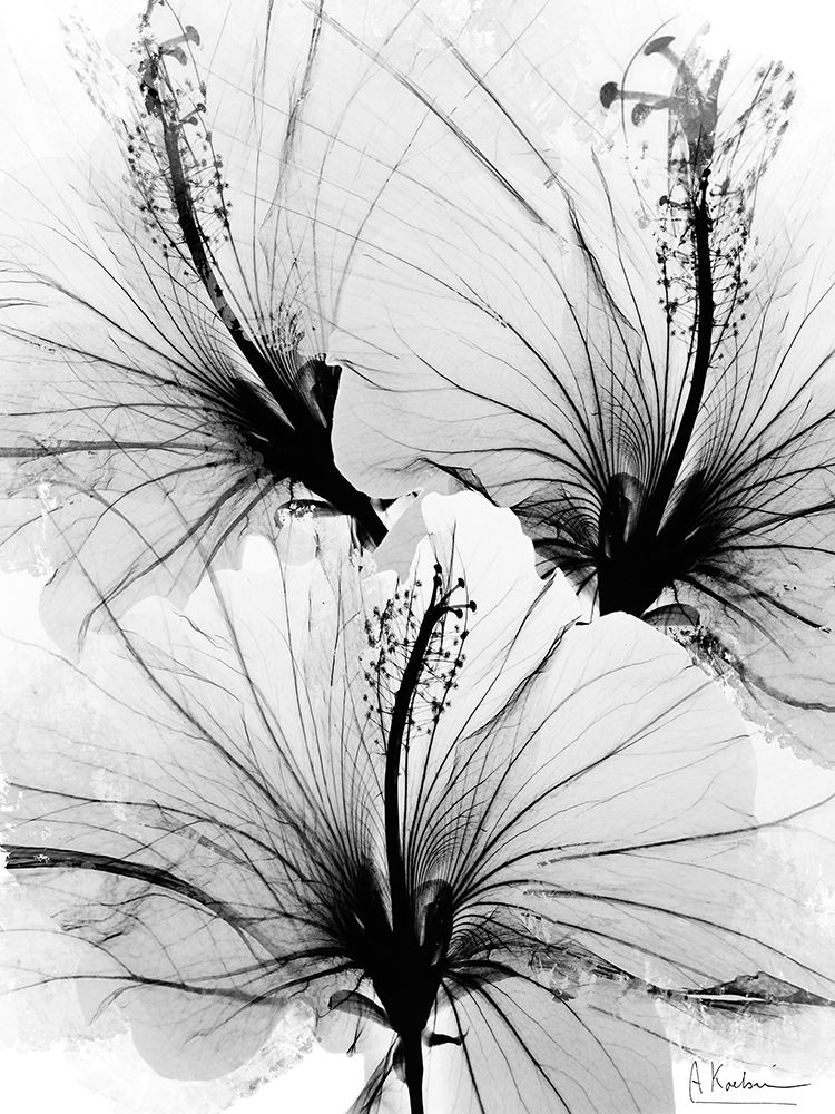 Floral Abstract 1