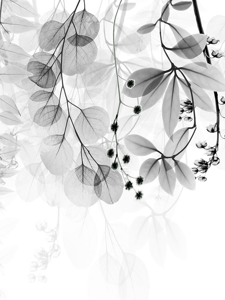 Complex Matter 1