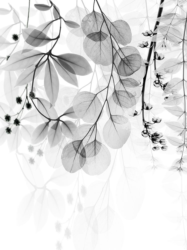 Complex Matter 2