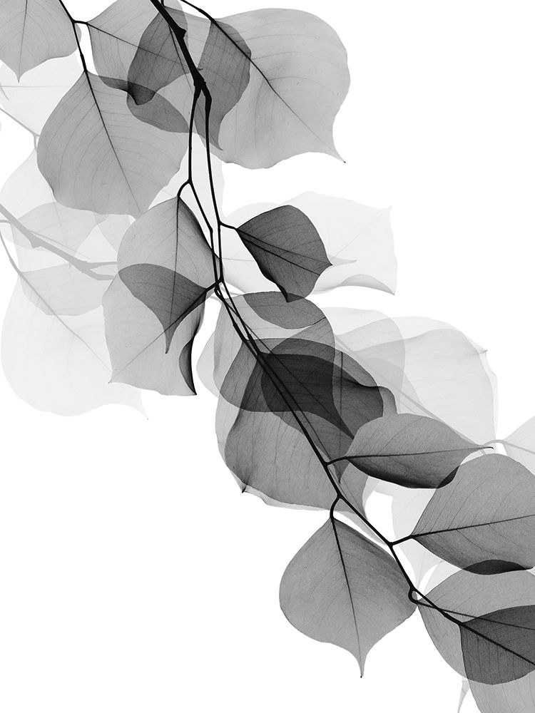 Price Of Reflection 2
