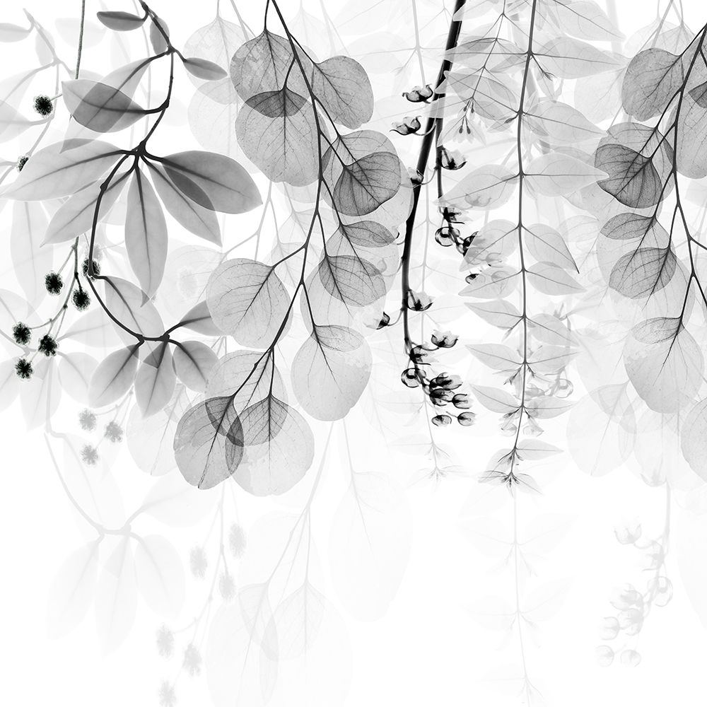 Pragmatic Meditation 2