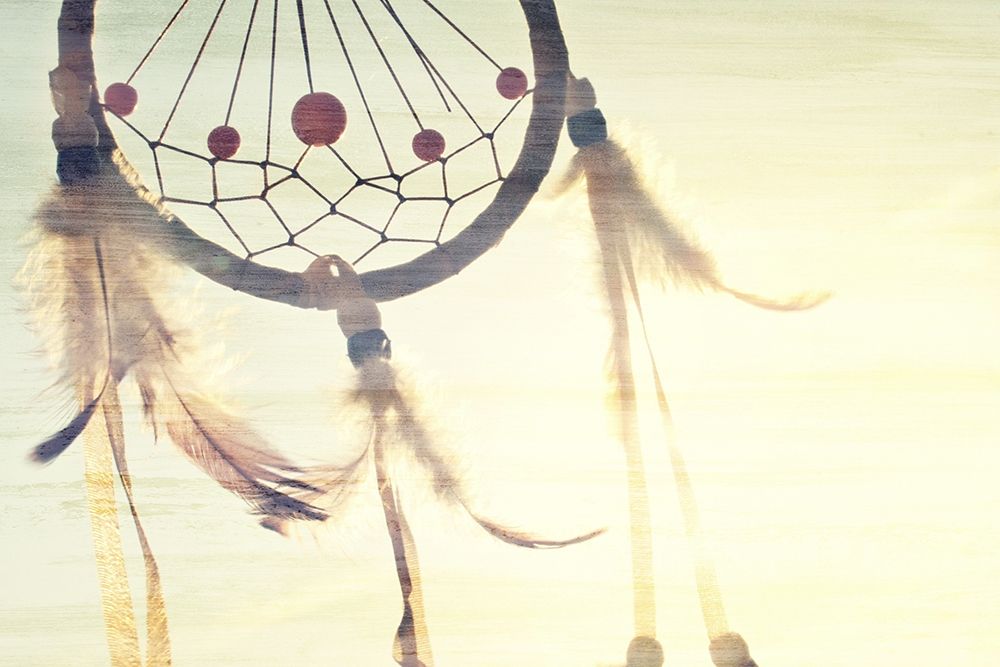 Follow Your Dreams Catcher