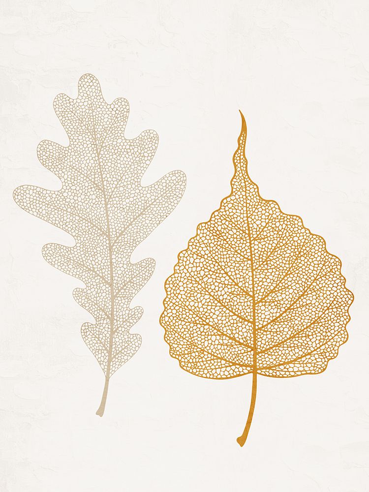 Skeleton Leaves 1