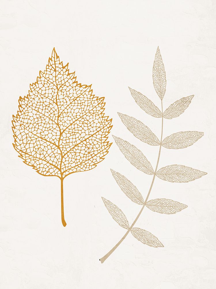 Skeleton Leaves 2