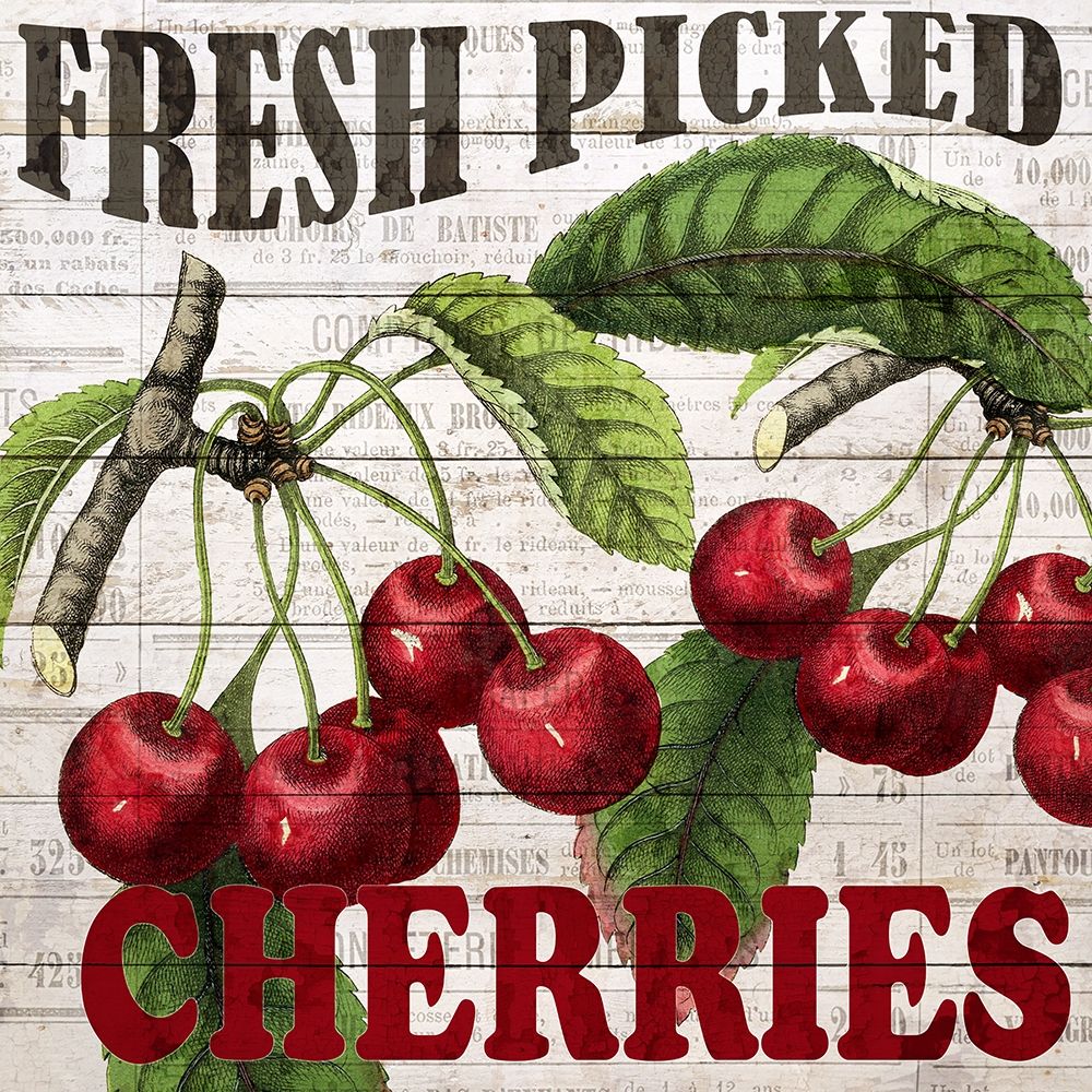 Fresh Picked Cherries