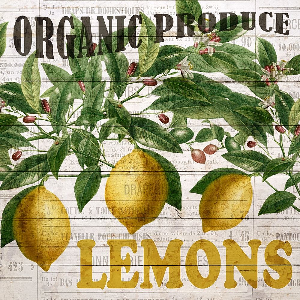 Fresh Picked Lemons
