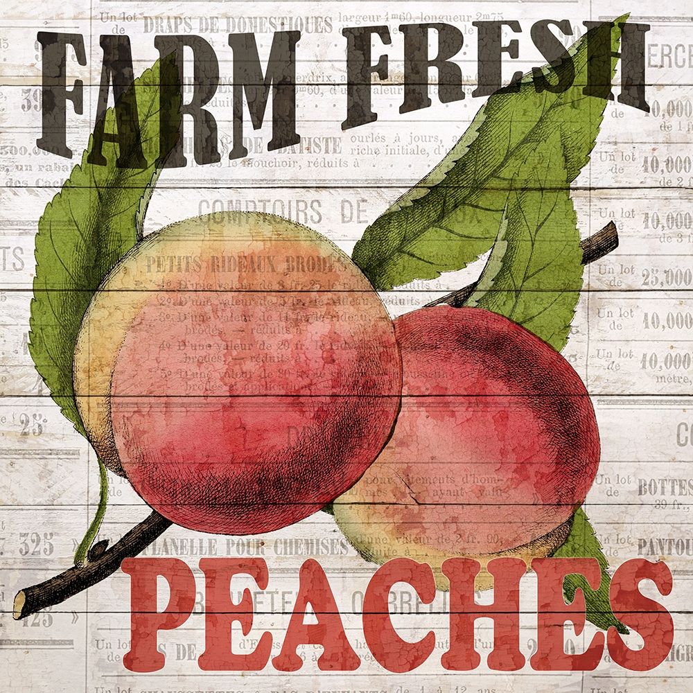 Fresh Picked Peaches
