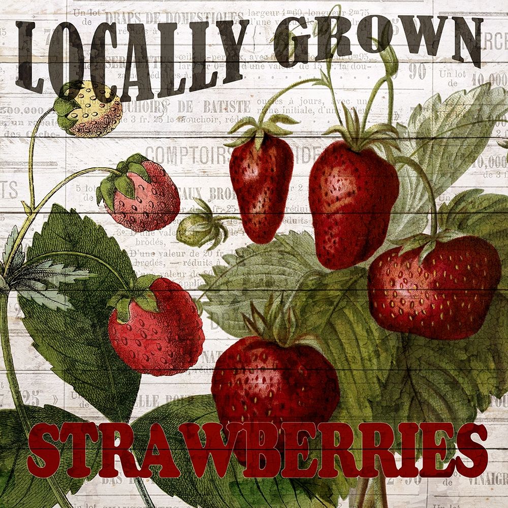 Fresh Picked Strawberries