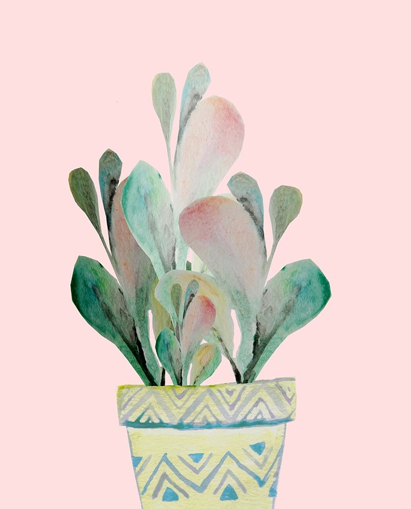 Succulent in Teal A
