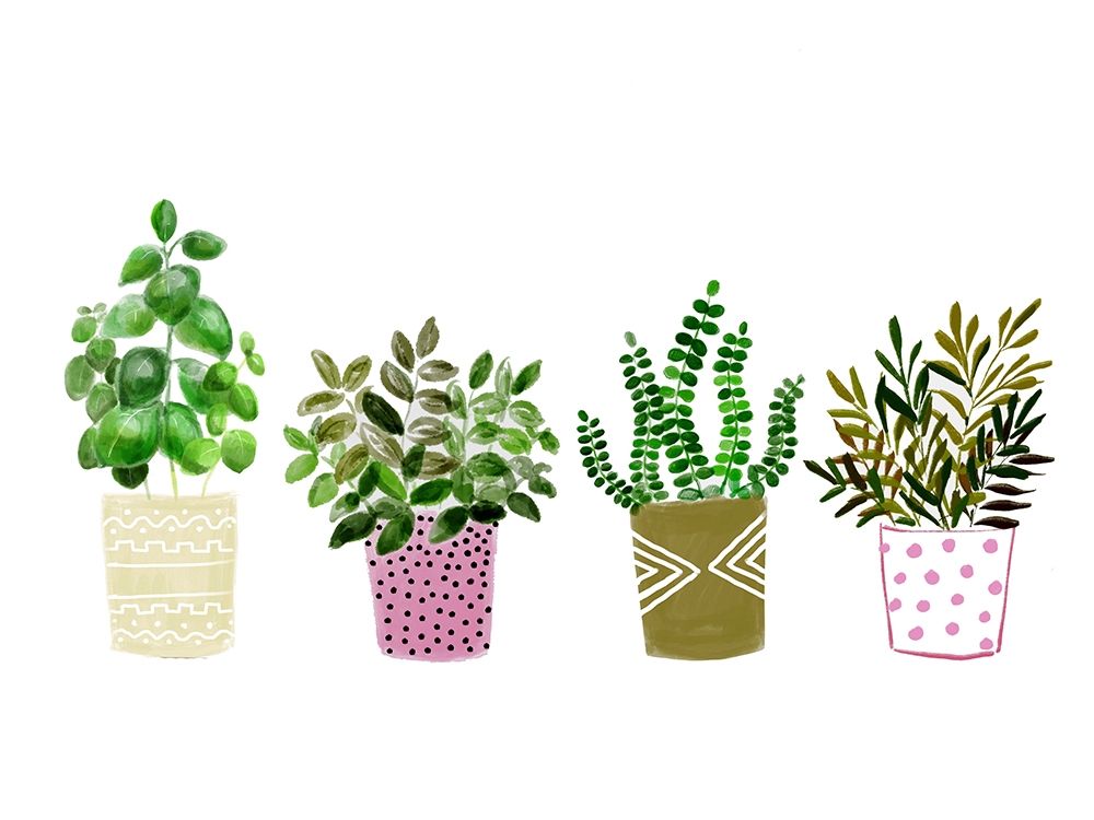 Four Plants 1