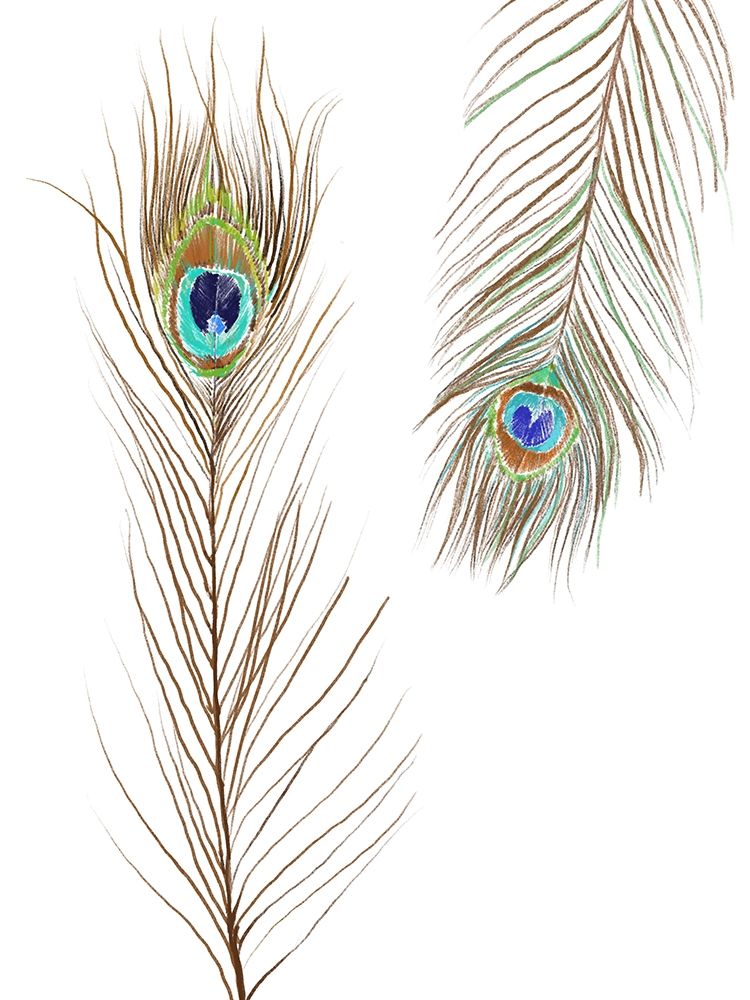 Peacock Love 2
