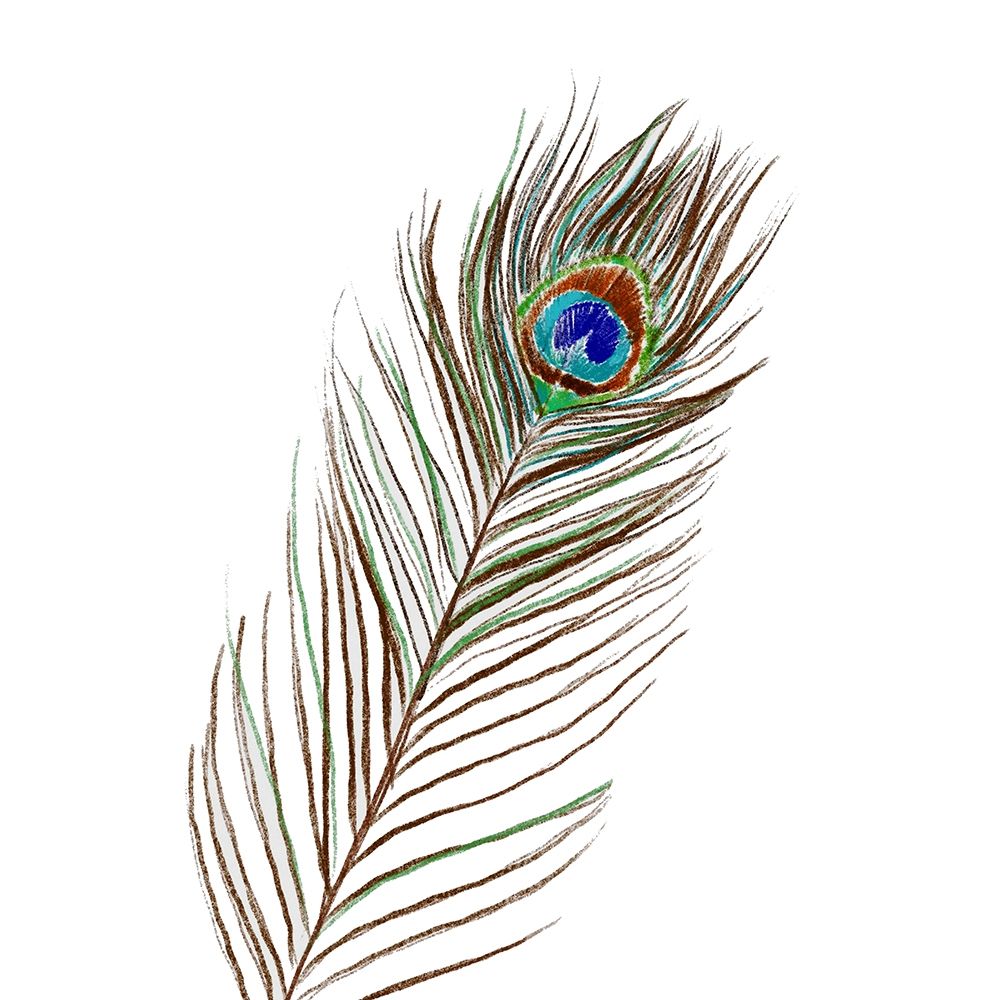 Peacock Single 1