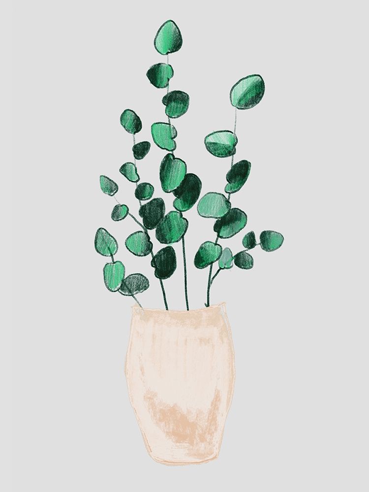 House Pot 3