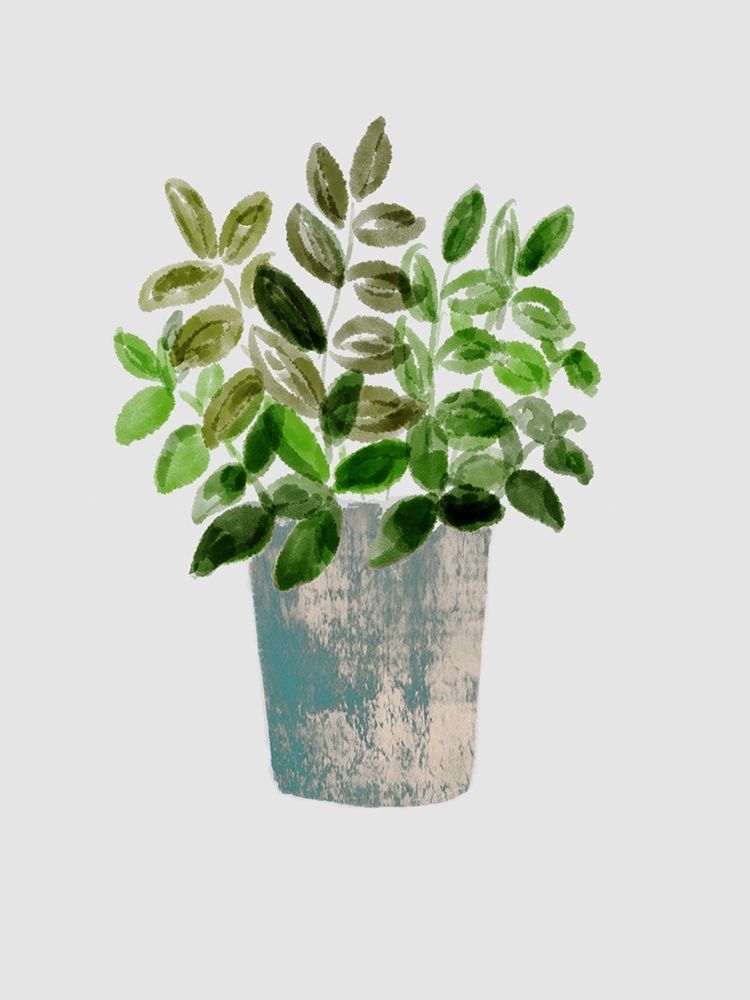 House Pot 4