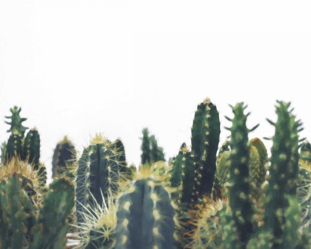 Prickly Field