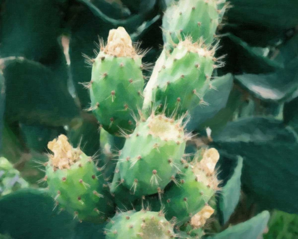 Sharp Needles