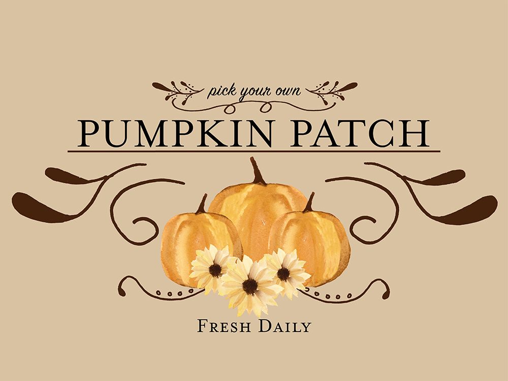 Pumpkin Patch