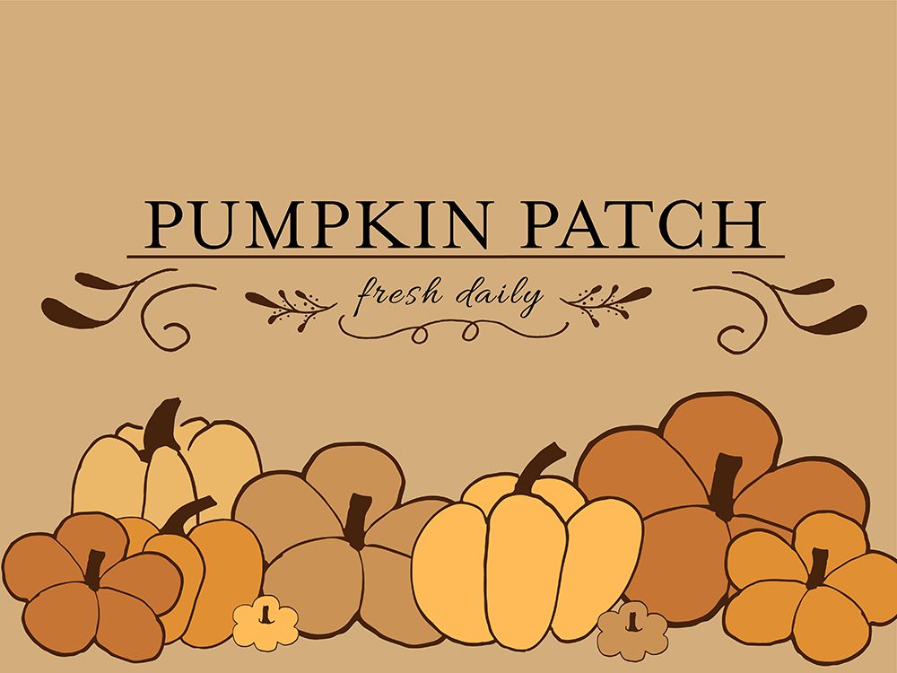 Pumpkin Patch 2