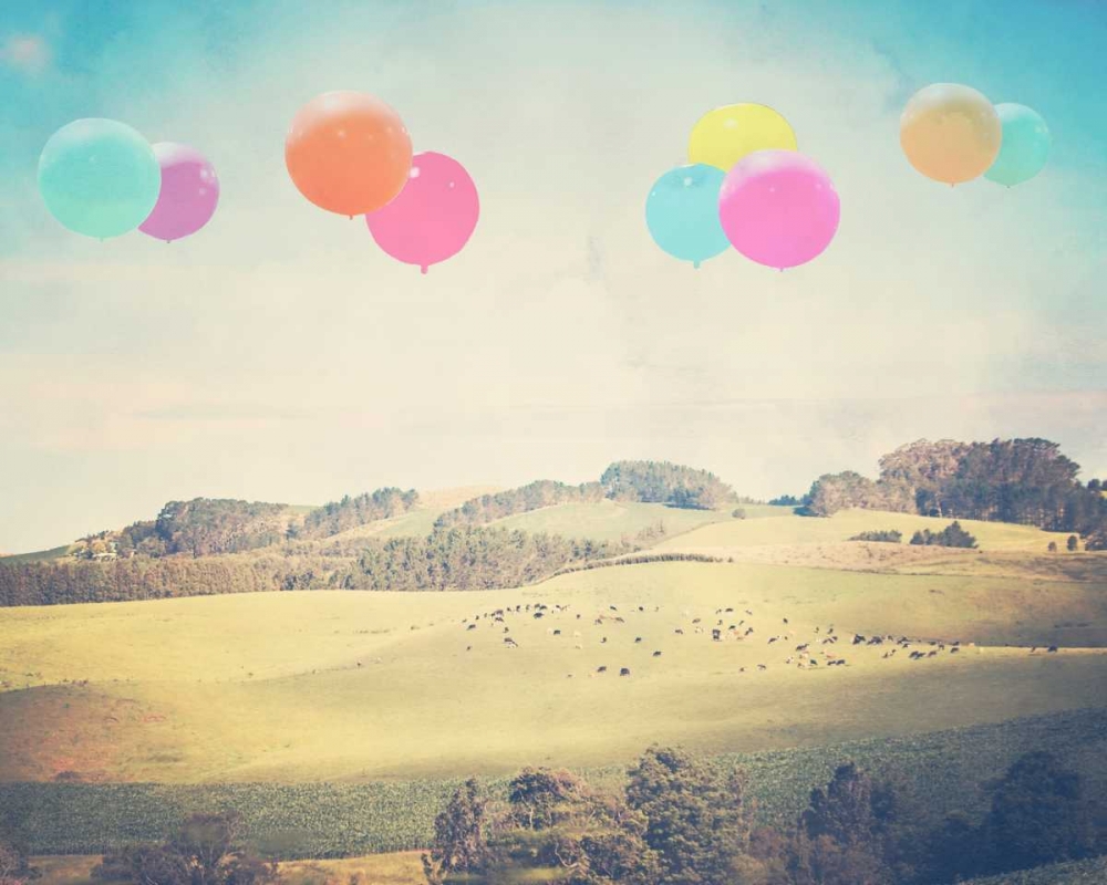 Balloons Over the Country
