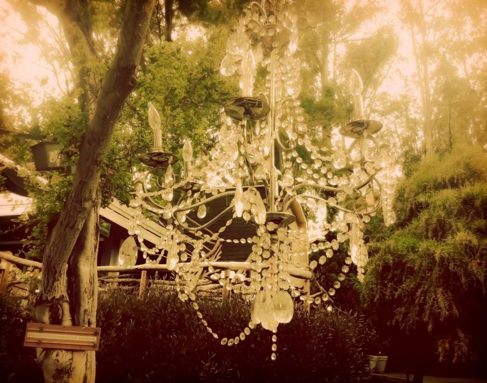Dreamy chandelier 1