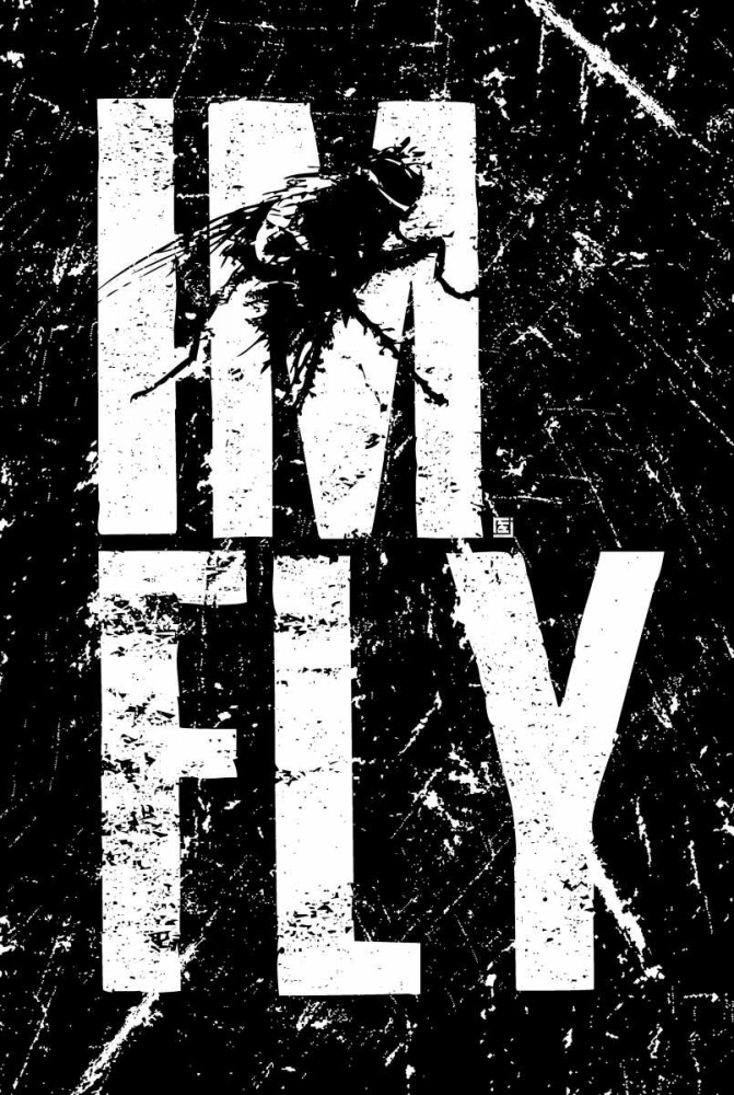 IM FLY 1