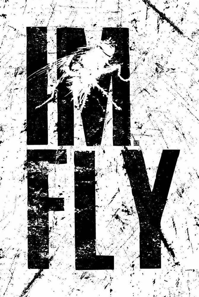 IM FLY 2