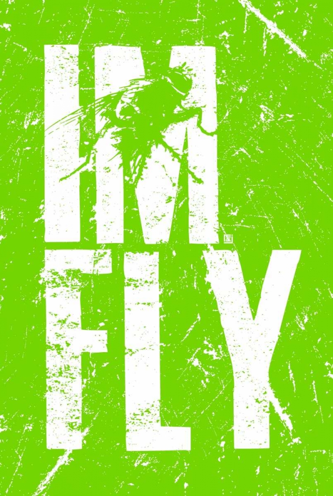 IM FLY 3