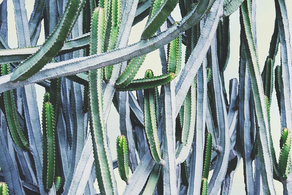 Green Crush I