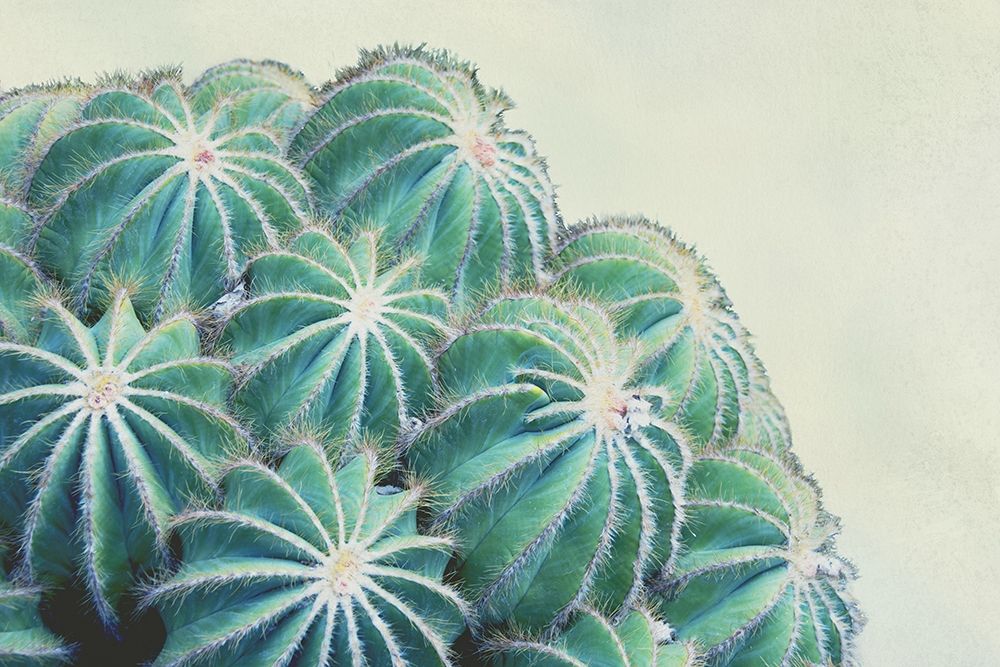 Green Crush II