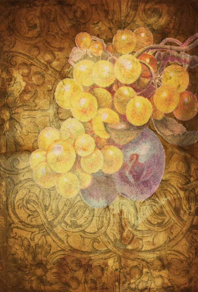 Grapes D