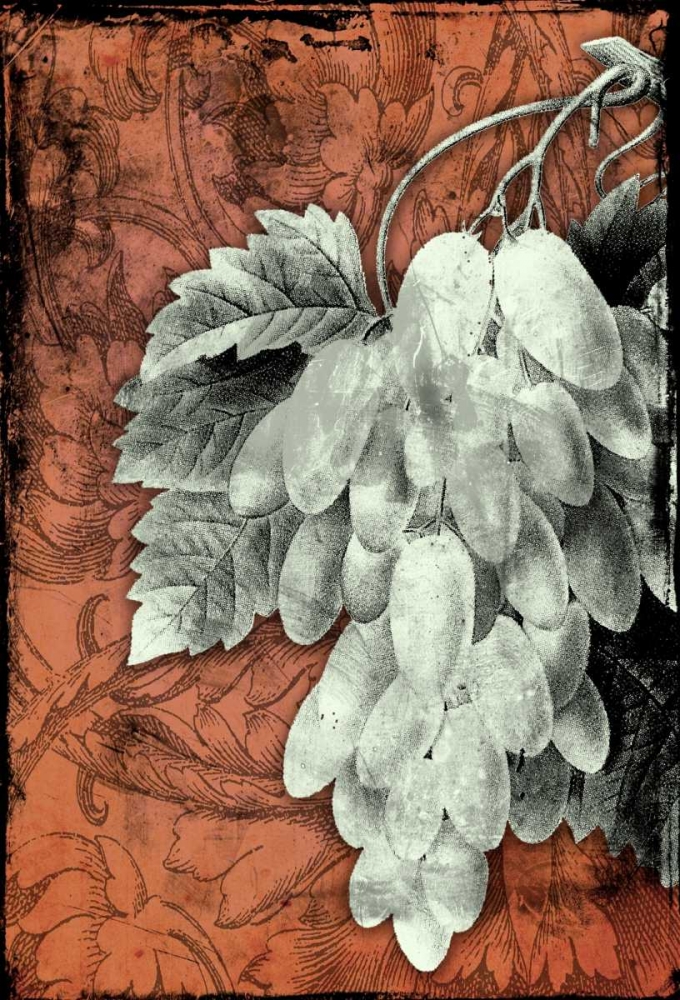 Grapes E