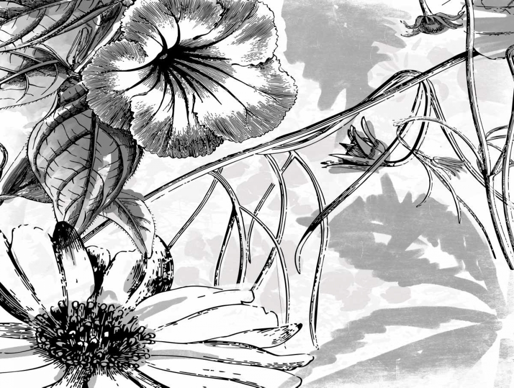 Simple BW Flower