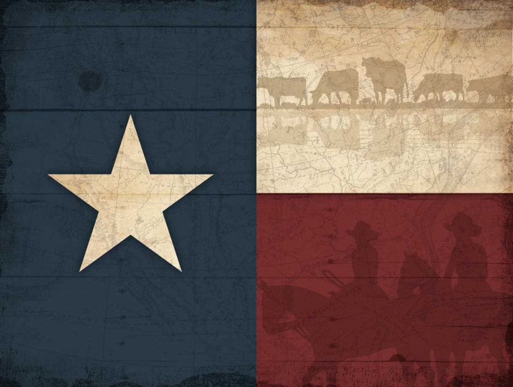 Texas Flag