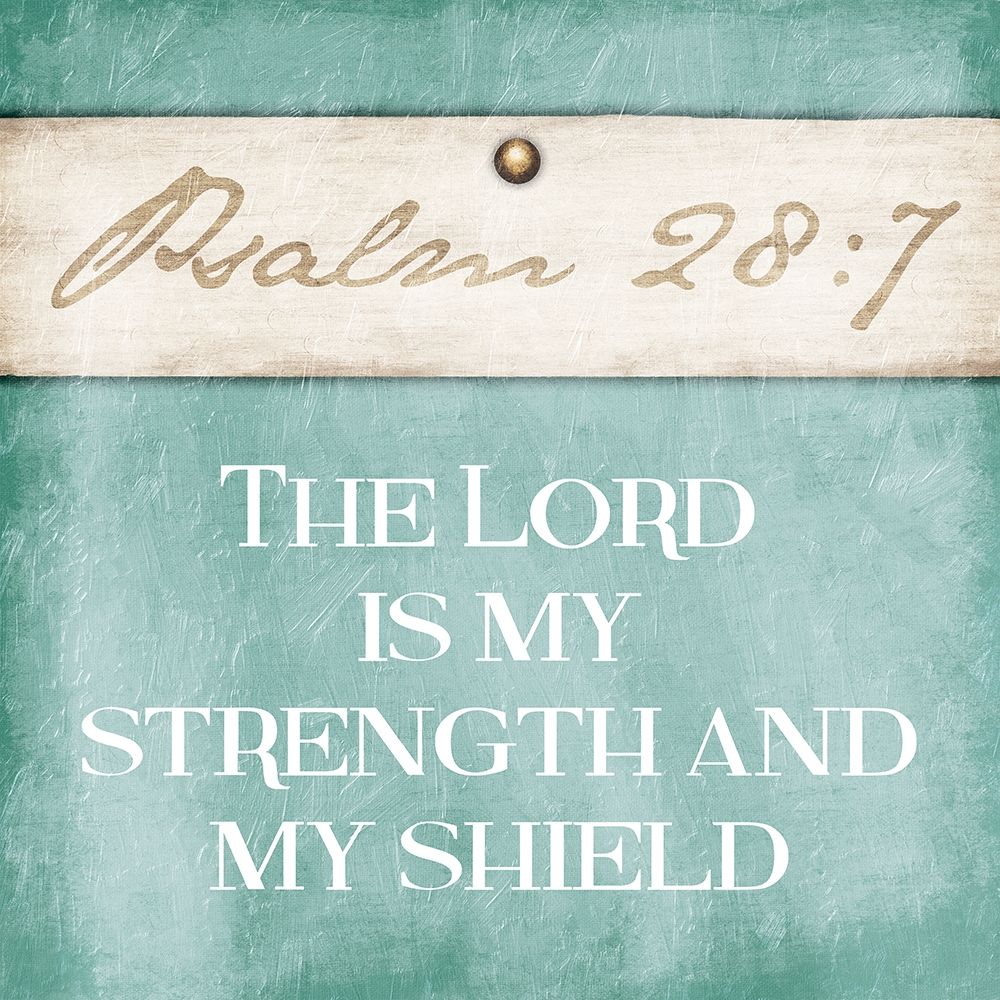 My Shield