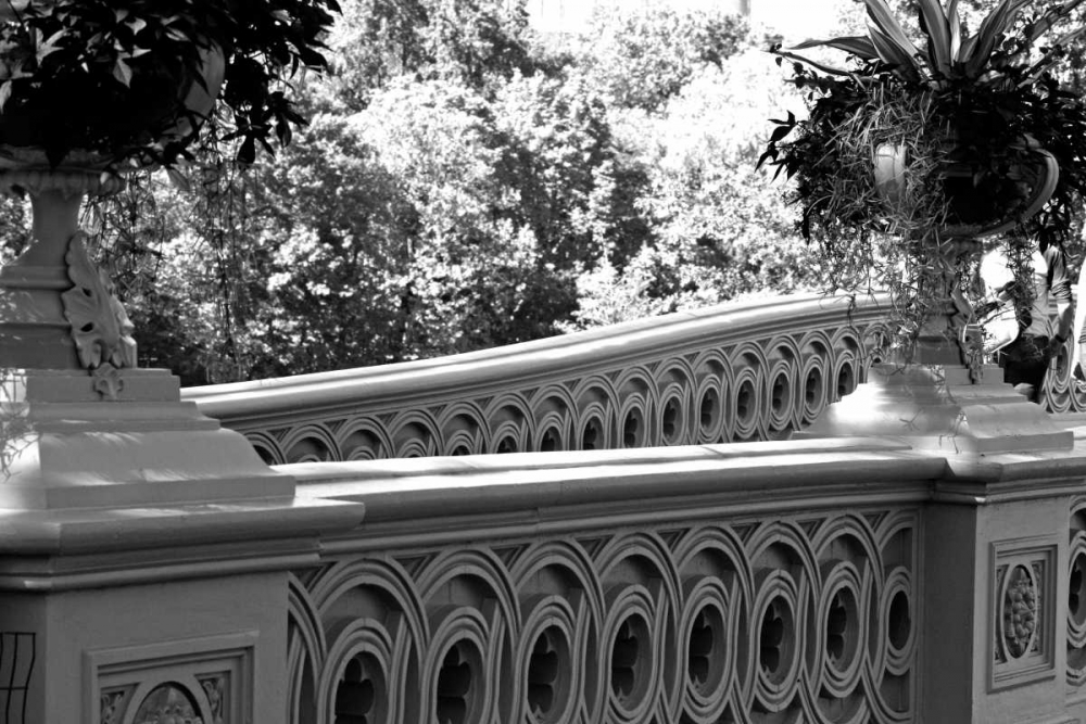 Central Park Bridge