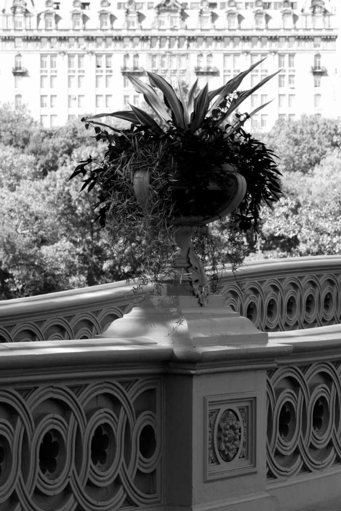 Central Park Bridge 5