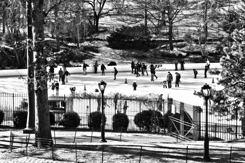 Central Park Skating