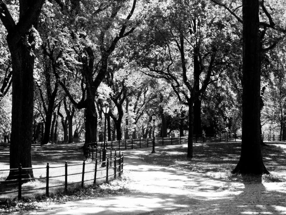 Central Park Walk