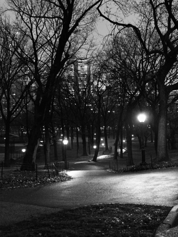 Central Park Night Stroll